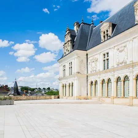 Apartment Refuge Du Chateau, Spa, Hypercentre, Confort Laval (Mayenne)